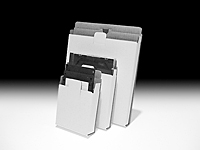 Disk-Mlr-2